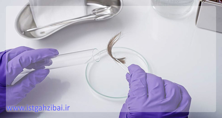 فولیکول مو چیست؟